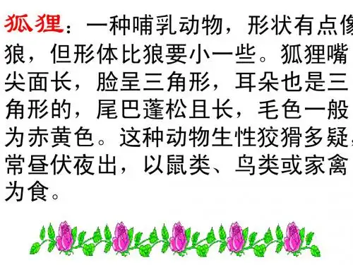 24金色的脚印