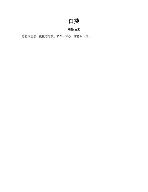 白葵