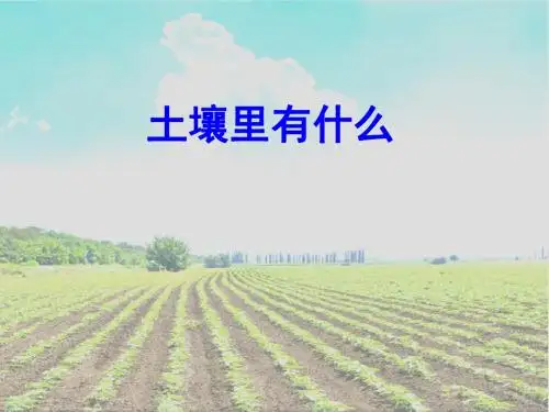 青岛版小学科学四年级下册《土壤里有什么》精品课件