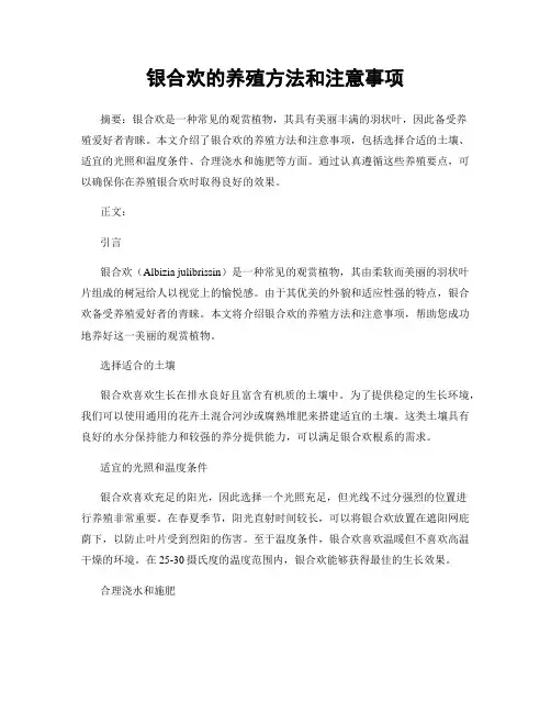银合欢的养殖方法和注意事项
