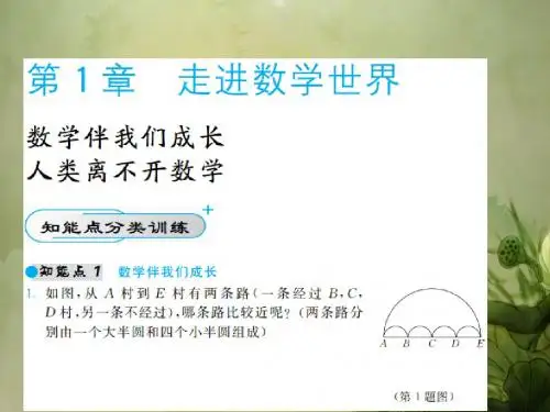华东师大初中数学七上《1.0第1章走进数学世界》PPT课件 (1)