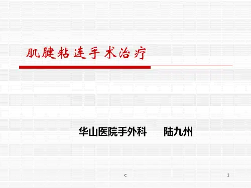 经典手部肌腱粘连松解.ppt