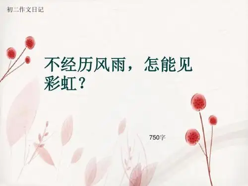 初二作文日记《不经历风雨,怎能见彩虹?》750字(总10页PPT)