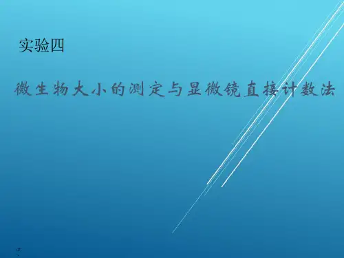 微生物学实验四、微生物大小的测定、显微镜直接计数法