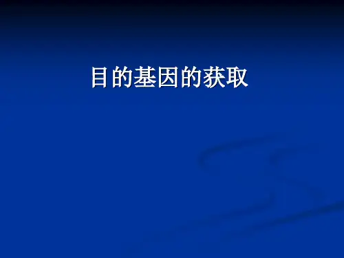 目的基因的获取