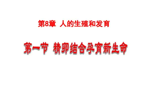 苏教版七年级生物下册 第四单元 第八章 第一节 精卵结合孕育新的生命  教学课件 (共30张PPT)