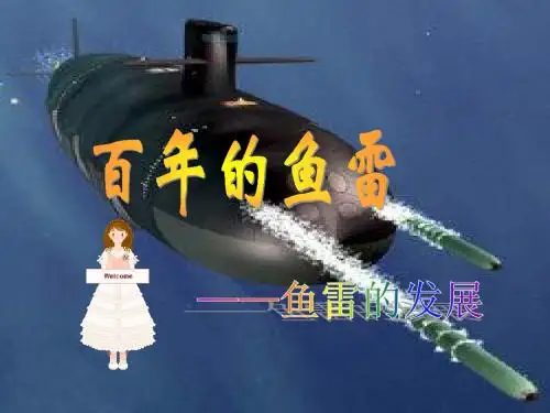 高中军事课题研究——鱼雷