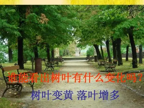 秋天在哪里课件