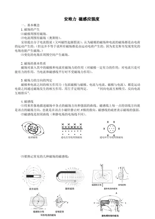 高中物理第二册安培力 磁感应强度1