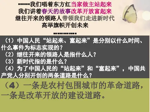 改革开放的历程(终稿)