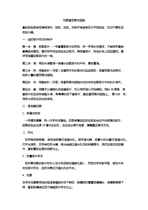 观察番茄果肉细胞实验操作细则