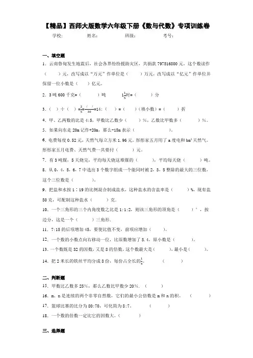 小学数学六年级下册《数与代数》专项训练卷(含答案解析)