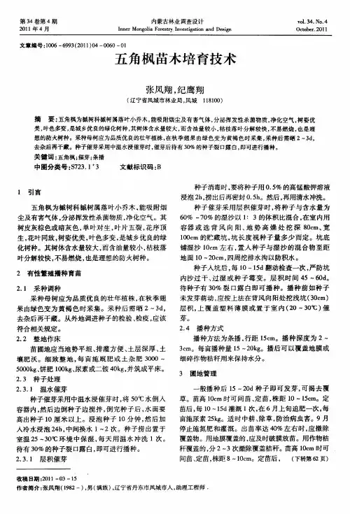 五角枫苗木培育技术
