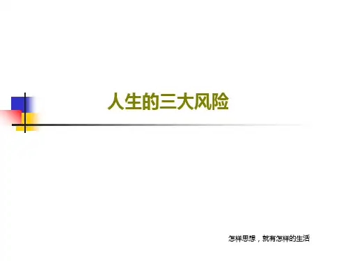 人生的三大风险共23页