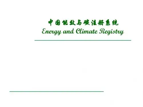 中国能效与碳注册系统