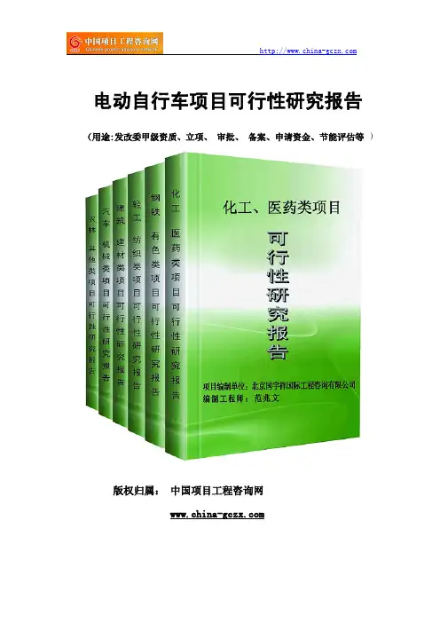 电动自行车项目可行性研究报告范文格式(专业经典案例)