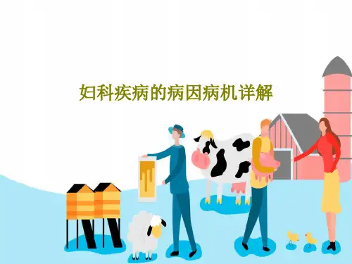 妇科疾病的病因病机详解20页PPT