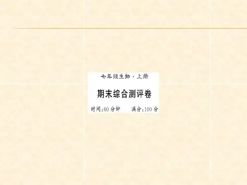 期末综合测评.ppt