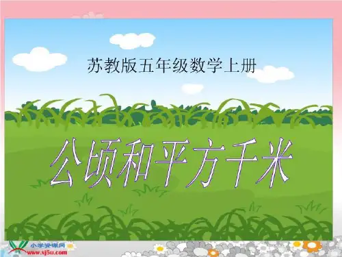 苏教版数学五年级上册《公顷和平方千米》课件