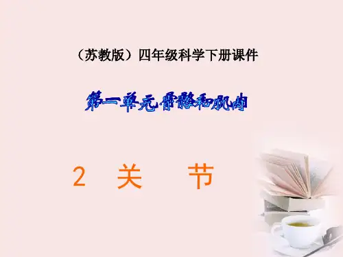 四年级科学下册 关节 3课件 苏教版