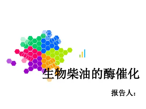 生物柴油的酶催化