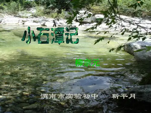 小石潭记2靳平月11