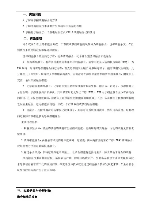细胞融合实验报告