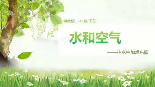 一年级下册科学课件《往水中加点东西》粤教版