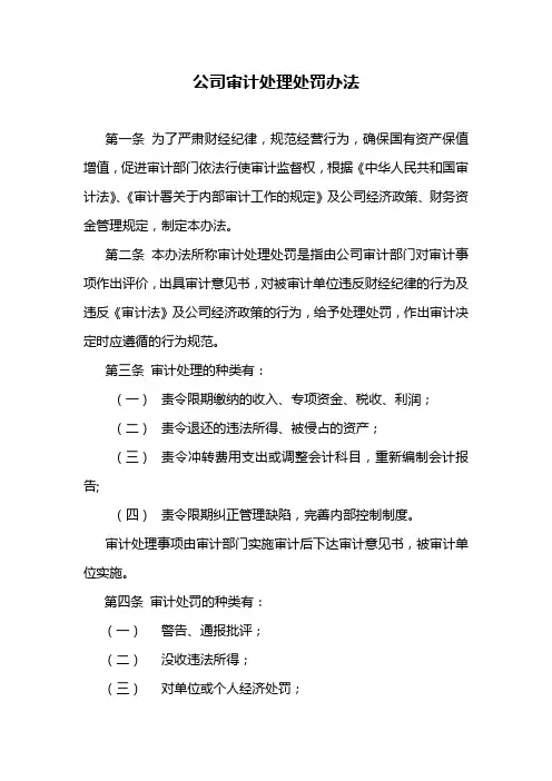 公司审计处理处罚办法