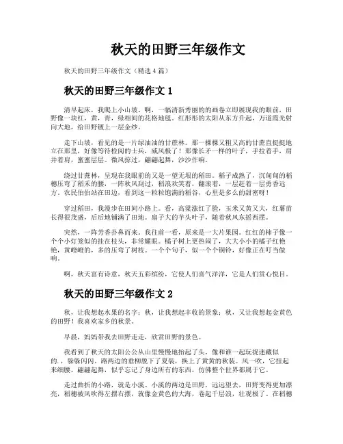 秋天的田野三年级作文