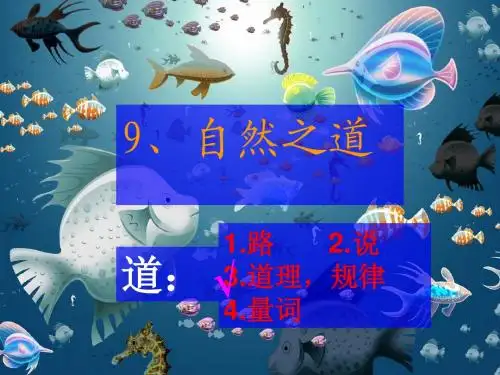 9_自然之道PPT_