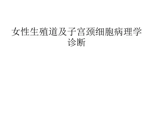 宫颈细胞学