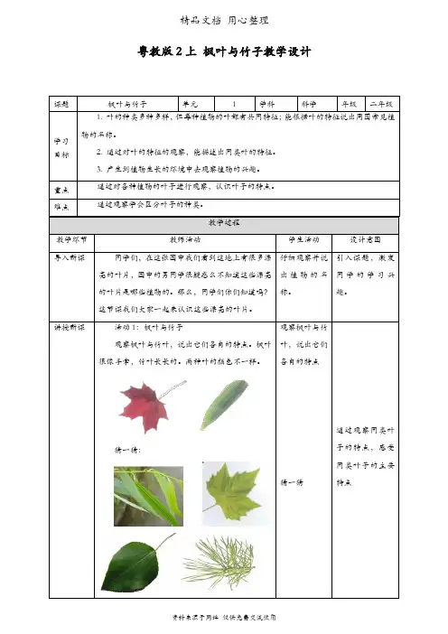 (新教材)粤教粤科版二年级上册科学 1.1 枫树与竹子 教案(教学设计)