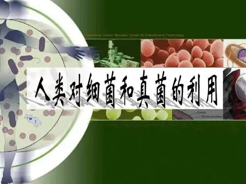 人类对细菌真菌的利用ppt课件演示文稿