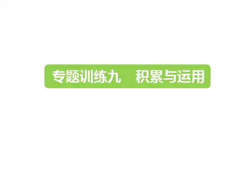 六年级下册语文课件-2019小升初-专题训练九 积累与运用   (共22张PPT)