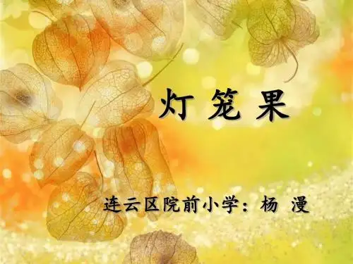灯笼果第一课时