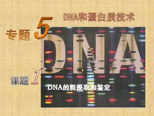 2018年学习DNA的粗提取与鉴定课件PPT