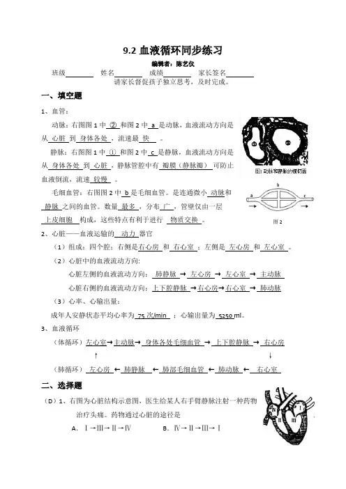 9.2血液循环 北师大版七年级下册生物同步练习