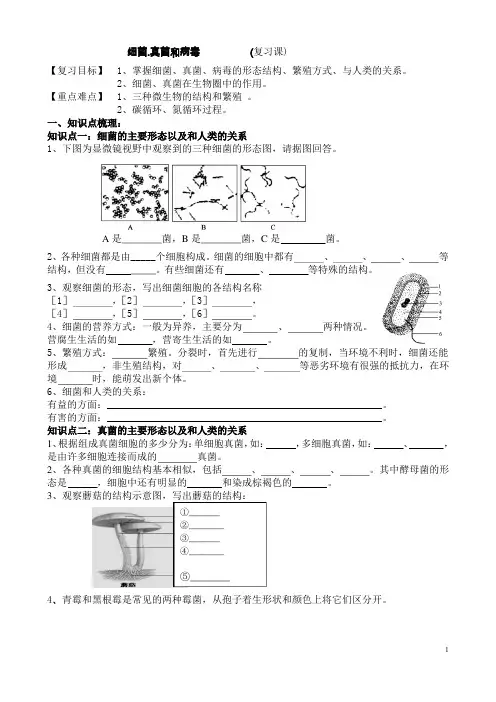 2020生物中考备考：细菌、真菌和病毒(复习课)