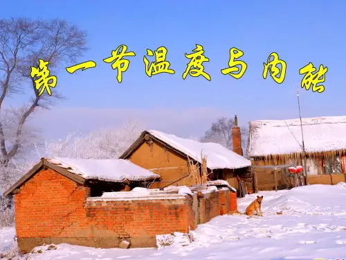 新课标沪科版初中物理九年级第十二章第一节《温度与内能》精品