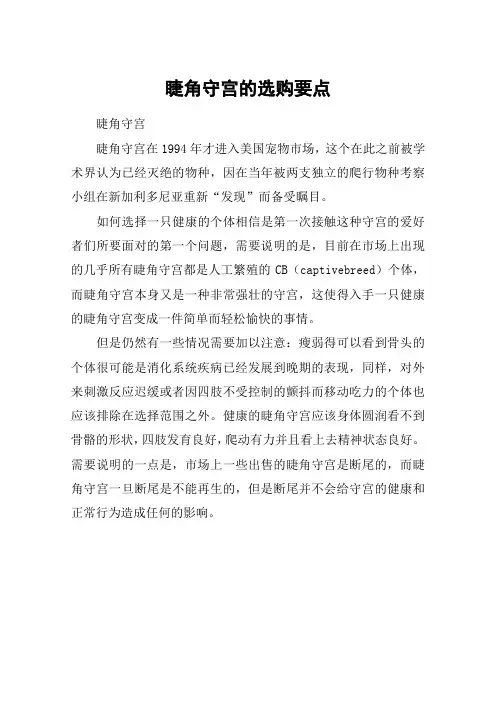 睫角守宫的选购要点