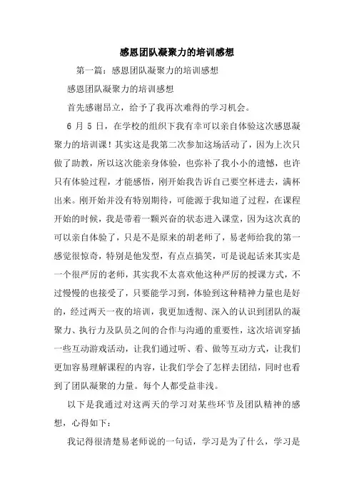 最新感恩团队凝聚力的培训感想