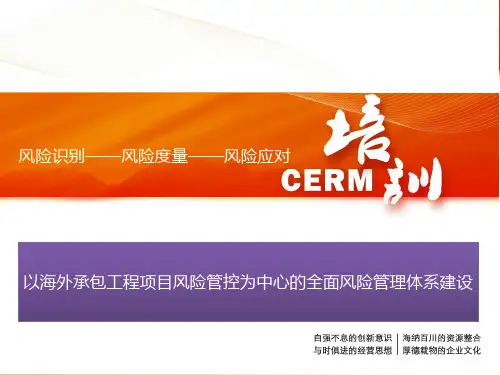 工程项目风险管理资料重点