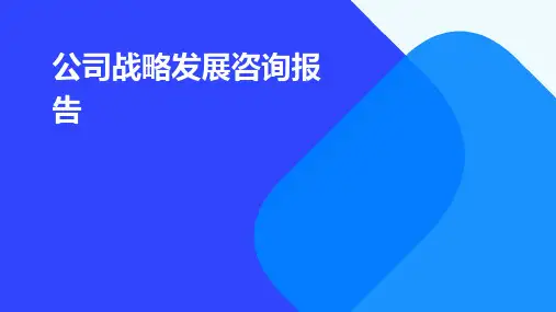 公司战略发展咨询报告