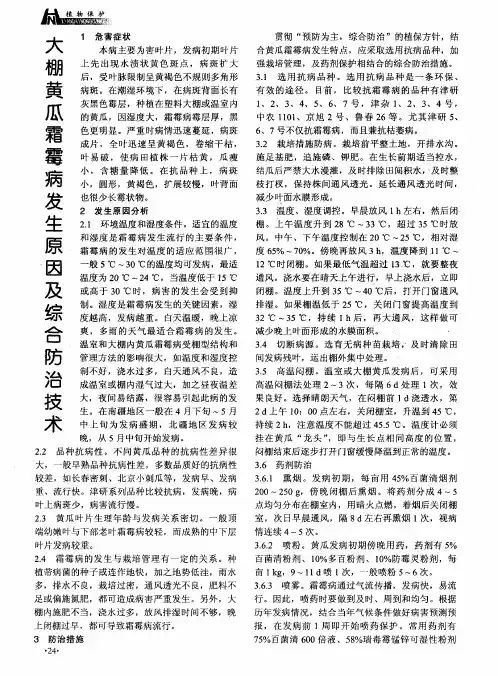 大棚黄瓜霜霉病发生原因及综合防治技术