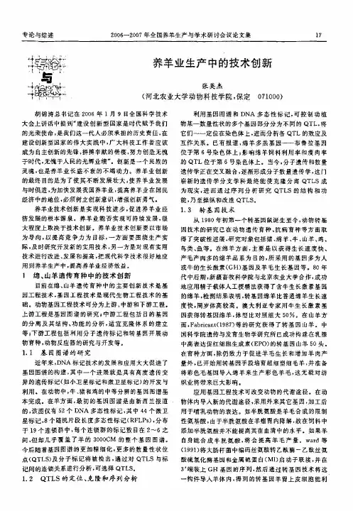 养羊业生产中的技术创新