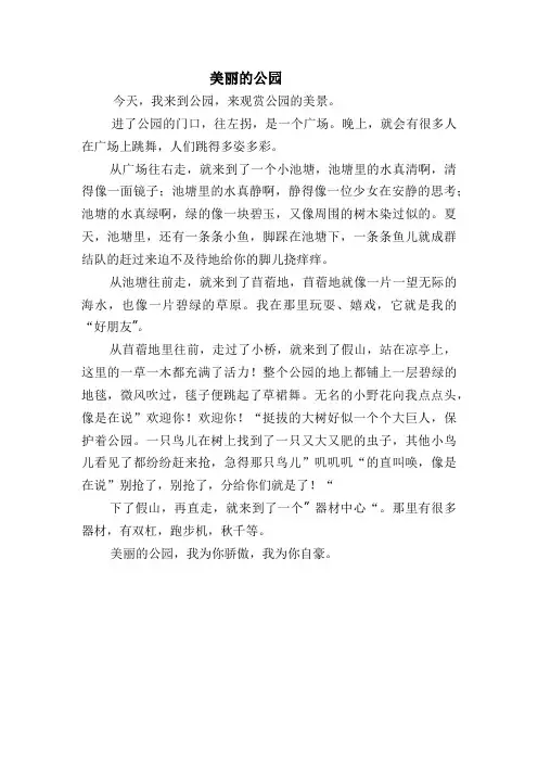 美丽的公园