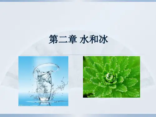第二章 水和冰 (1)分析