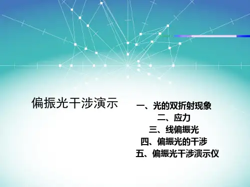 偏振光干涉演示2
