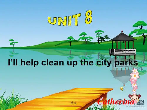 人教版九年级英语unit8全单元完整ppt课件